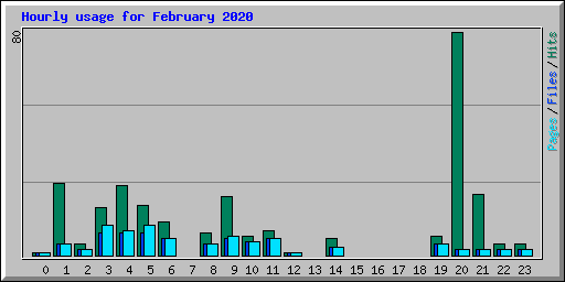 Hourly usage for February 2020